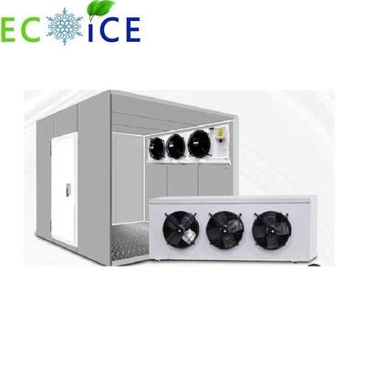 Cold Room Seafood Cold Storage Room Fruit and Vegetable Cold Room Industrial Cooling and Freezing Room