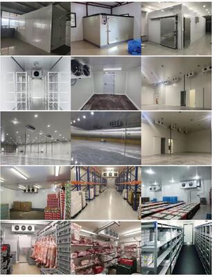 Cold Room Commercial Cold Storage Room Freezing Room Meat Cold Room Cigar Storage Room