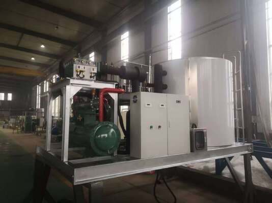 Ecoice 5-Ton Industrial Flake Ice Making Machine ice flake machine marine with PLC Control System
