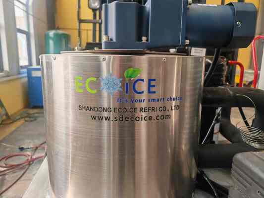 Ecoice  Stainless Steel Best Commercial Clear 3t Ice Maker Ice Flake Makers Machine for Food and Beverage
