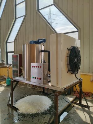 Ecoice 3Ton/Day Stainless Steel Best Commercial Flake Ice Making Machine for Seafood & Fishery