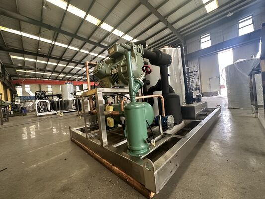 Ecoice 2026 12T cheap big new commercial industrial water Coolingflake  ice maker machine for sale