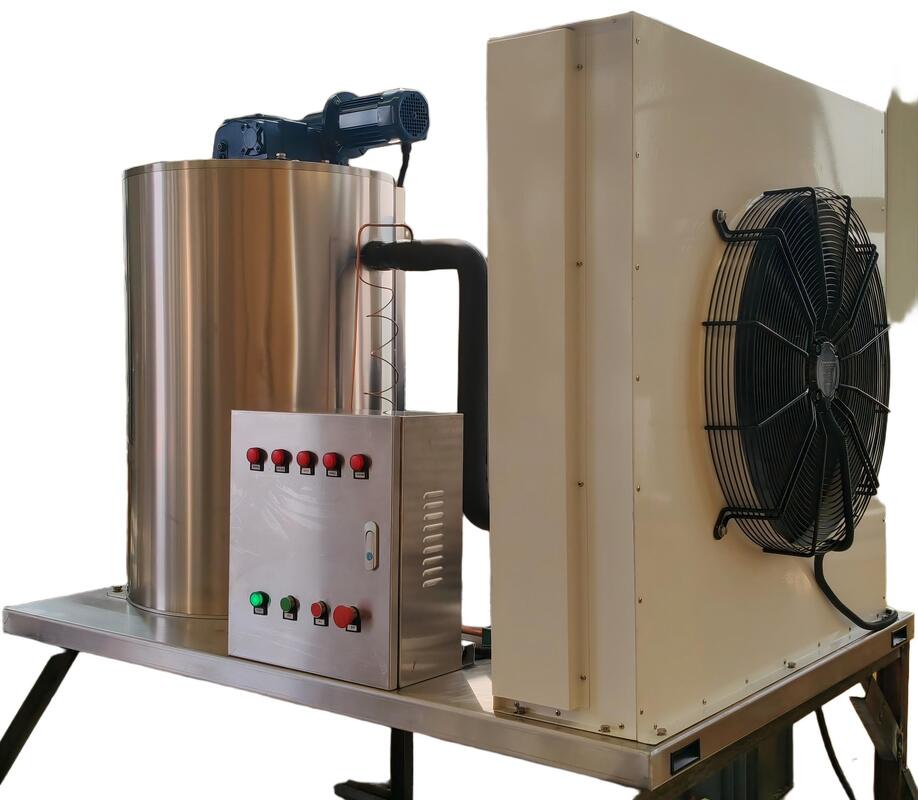 Ecoice 3Ton/Day Stainless Steel Best Commercial Flake Ice Making Machine for Seafood & Fishery